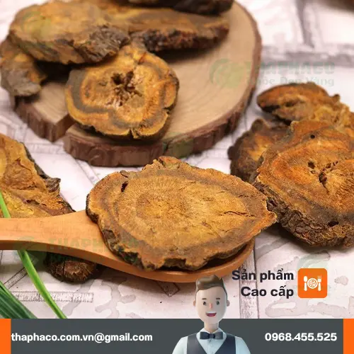Dược liệu Đại hoàng THAPHACO chất lượng cao