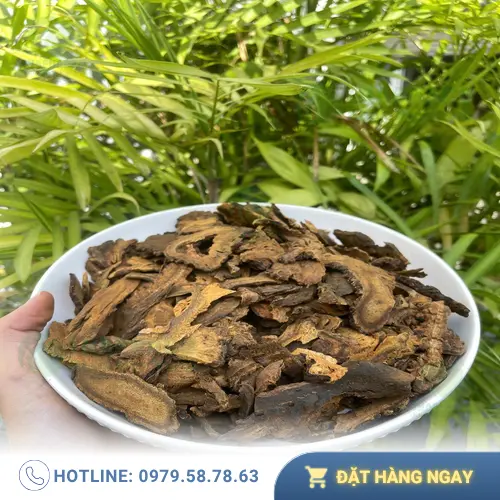 Sản phẩm Đại hoàng sấy khô cao cấp THAPHACO sẵn sàng đến tay người tiêu dùng