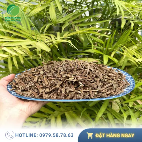 Dây thần thông khô thật, thân cành rõ nét, màu sắc tự nhiên, được sơ chế sạch sẽ