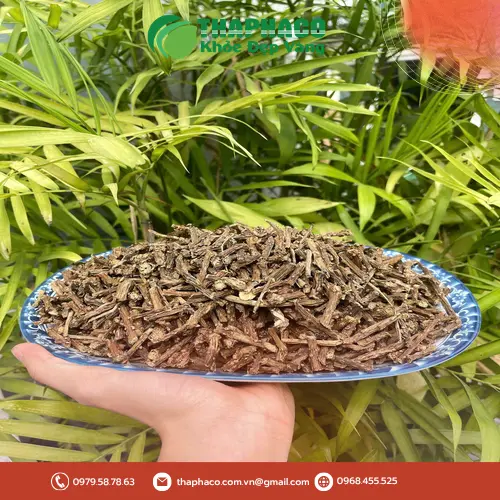 Dây Thần Thông thật, màu sắc tự nhiên, hình dáng thân dây đặc trưng