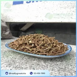Địa Chỉ Bán Sỉ Dây Thần Thông Giá Tốt TP.HCM - THAPHACO
