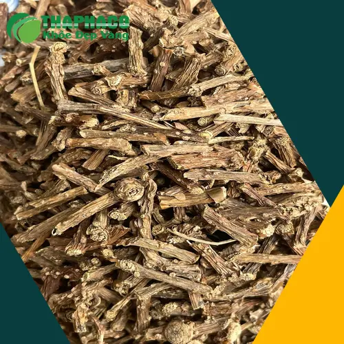 Dây thần thông THAPHACO với giá chỉ 120.000 VNĐ