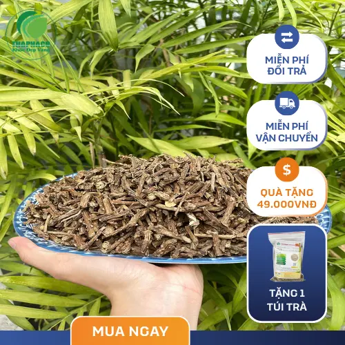 Liên hệ mua Dây Thần Thông THAPHACO