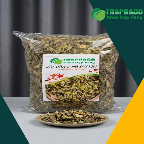 Hình ảnh cây dây thìa canh tươi tốt tại vườn trồng THAPHACO