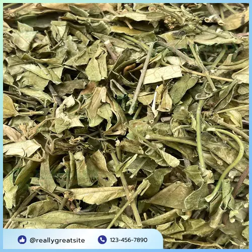 Dây thìa canh khô chất lượng cao từ THAPHACO