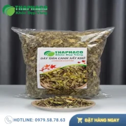 1kg Dây thìa canh giá bao nhiêu tiền? Giá tốt từ THAPHACO