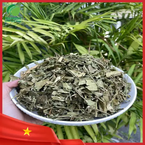 Hình ảnh quy trình kiểm định chất lượng dây thìa canh tại THAPHACO