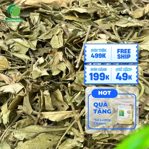 Hình ảnh dây thìa canh khô đã được sơ chế