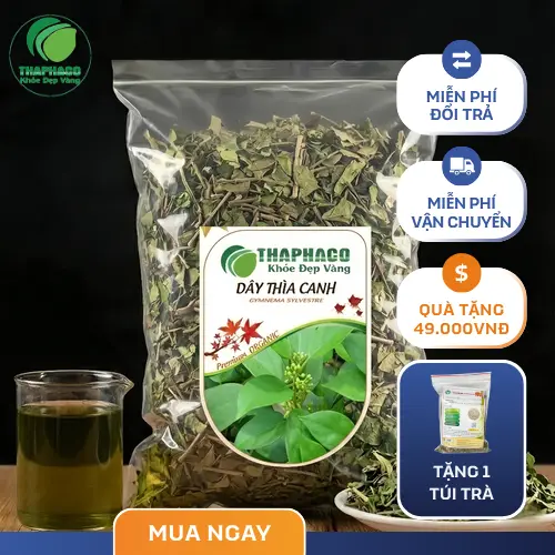 Dây thìa canh tươi nguyên bản