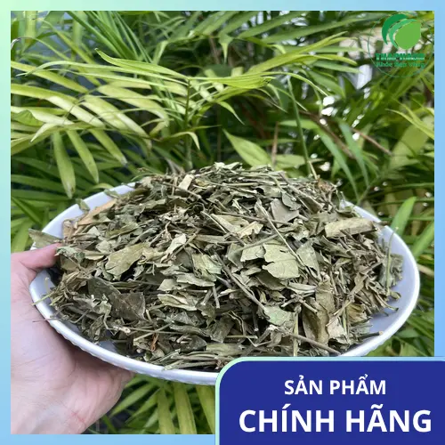Chuyên gia Dược liệu THAPHACO hướng dẫn sử dụng dây thìa canh