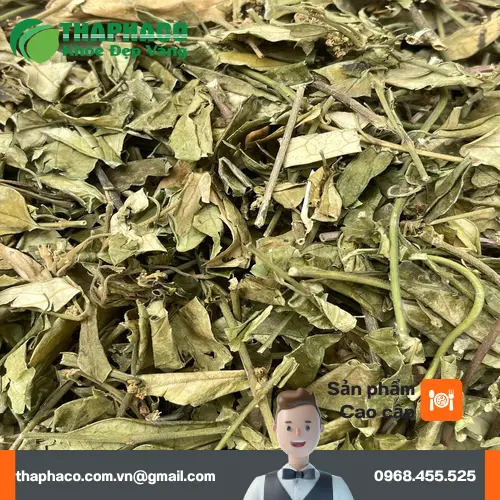 Hình ảnh bao bì sản phẩm dây thìa canh THAPHACO chất lượng cao