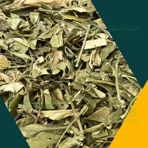 Dây thìa canh THAPHACO giá tốt, nhiều ưu đãi