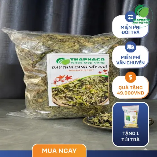 Dây thìa canh tươi mới được thu hoạch