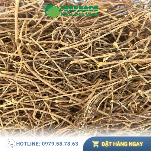 Dây Tơ Hồng THAPHACO chất lượng cao
