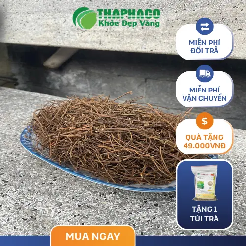 Dây Tơ Hồng tươi THAPHACO - Nguồn gốc tự nhiên, an toàn cho sức khỏe sinh lý