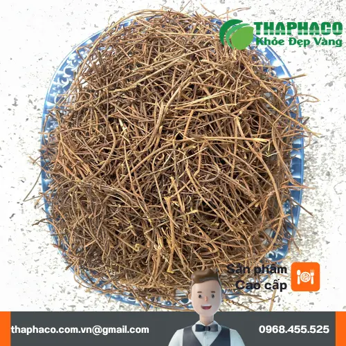 Công dụng của Dây Tơ Hồng trong y học