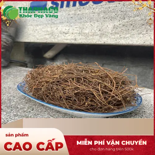 Cách ngâm rượu Dây Tơ Hồng đúng chuẩn tại nhà