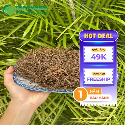 Cách sử dụng Dây Tơ Hồng hiệu quả
