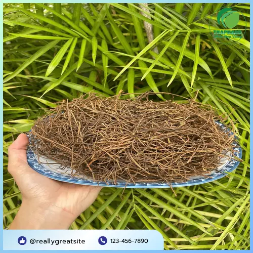 Hướng dẫn bảo quản Dây Tơ Hồng khô đúng cách, giữ trọn dược tính