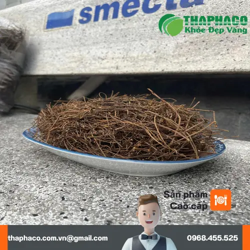 Dây Tơ Hồng THAPHACO - Đảm bảo chất lượng, giá cả phải chăng