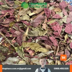 Lá đơn đỏ sấy khô túi 1kg giá rẻ - Dược liệu THAPHACO