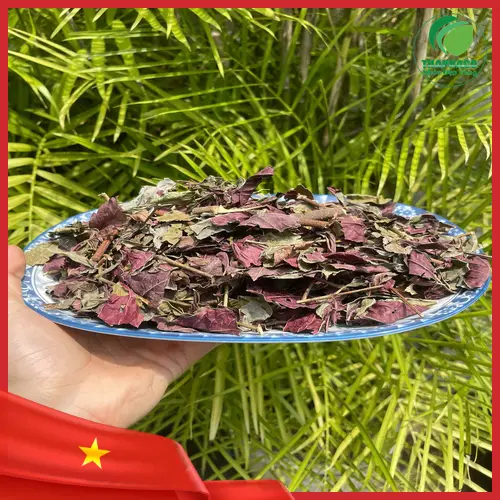 Lá đơn đỏ sấy khô 1kg THAPHACO đảm bảo chất lượng