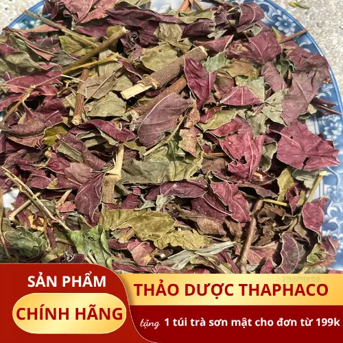 Quy trình sản xuất lá đơn đỏ sấy khô chất lượng