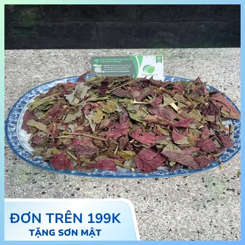 Một ly nước lá đơn đỏ được pha chế nóng hổi