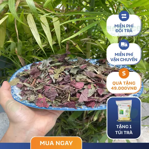 Lá đơn đỏ sấy khô THAPHACO đóng gói 1kg tiện lợi