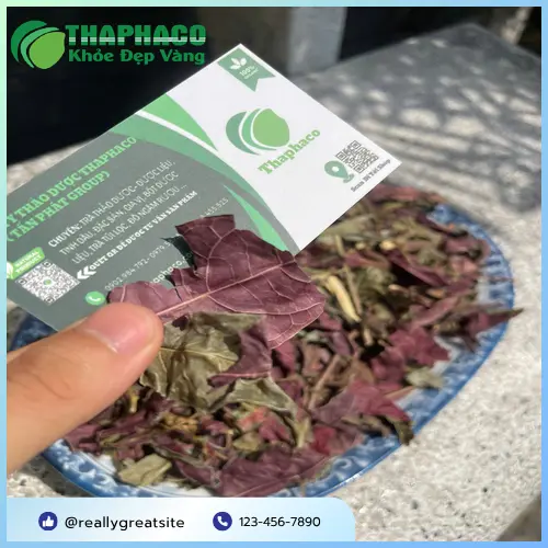 Lá đơn đỏ sấy khô chất lượng cao của THAPHACO
