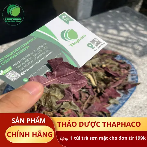 Lá đơn đỏ sấy khô THAPHACO - Giải pháp sức khỏe tự nhiên