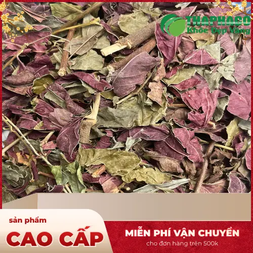 Pha chế và sử dụng lá đơn đỏ sấy khô đúng cách