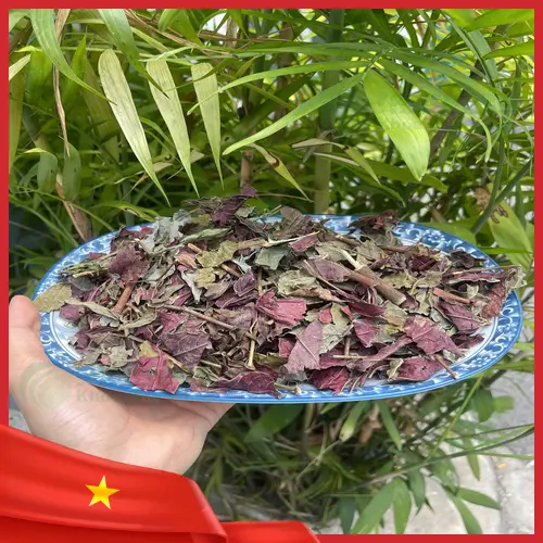 Người dùng chia sẻ kinh nghiệm và những lợi ích bất ngờ từ lá đơn đỏ