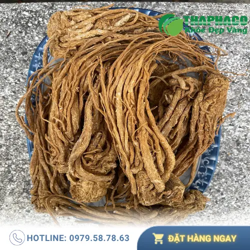Đương Quy khô nguyên chất, dược liệu THAPHACO