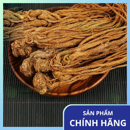 Lát Đương Quy khô dùng sắc thuốc