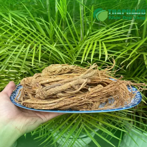 Đương quy chất lượng cao THAPHACO