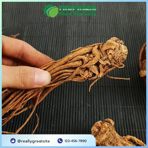 Đương Quy phơi khô tự nhiên