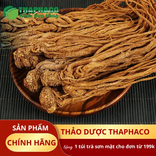 Liên hệ mua đương quy tại THAPHACO