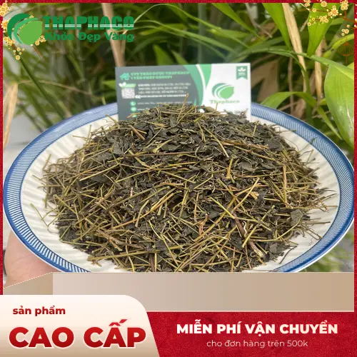 Hình ảnh Giảo Cổ Lam tươi và phơi khô