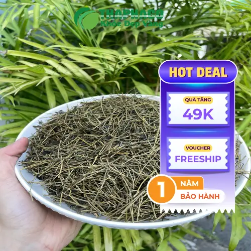 Giảo Cổ Lam hỗ trợ sức khỏe gan