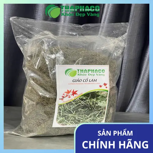 Quy trình sấy khô Giảo Cổ Lam hiện đại tại THAPHACO