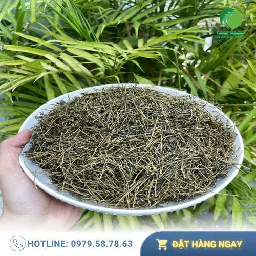 Đóng gói Giảo Cổ Lam sỉ 1kg và 500gram chuyên nghiệp tại THAPHACO