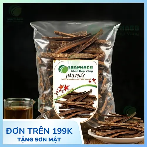 Hình ảnh mặt cắt của Hậu Phác thật cho thấy các thớ gỗ đều, không bị rỗng ruột hay mục nát.