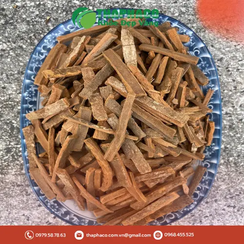 Bao bì Hậu phác chất lượng từ Dược Liệu THAPHACO