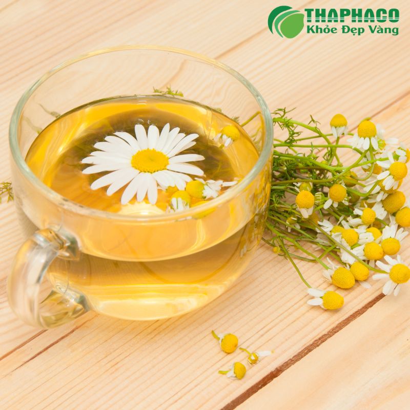 Thaphaco mang đến các giải pháp hỗ trợ sức khỏe hô hấp từ dược liệu sạch, nguyên chất