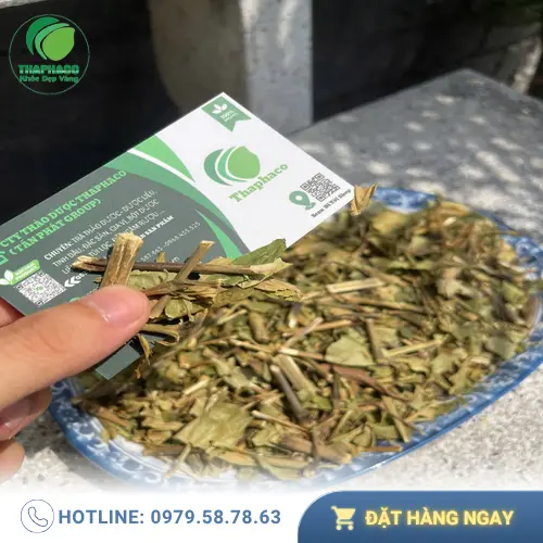 Dược sĩ phân tích trà hoàn ngọc hỗ trợ giảm cân hiệu quả