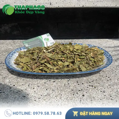 Cây hoàn ngọc tươi và khô, dược liệu quý giúp hỗ trợ giảm cân