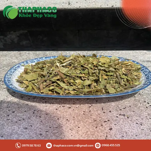 Dược sĩ sử dụng trà hoàn ngọc mỗi ngày để giảm cân
