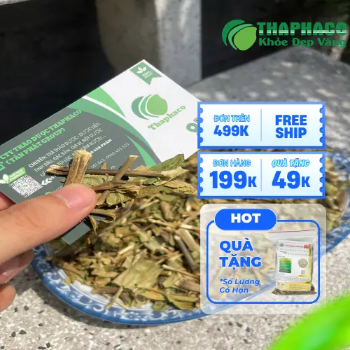 Cách dùng hoàn ngọc sấy khô THAPHACO đúng cách