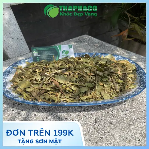 Dược sĩ tư vấn cách dùng trà hoàn ngọc đúng cách